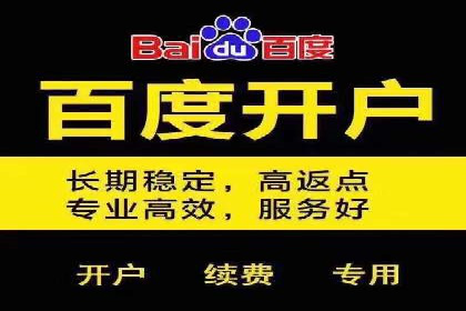 百度搜索推广的成功案例：企业如何实现精准营销